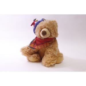 RedWood Bear, Medium Plush, Parrot Hat, Soft Toy, 14", Vintage, ~ 251228-WH 286